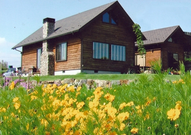 home01.jpg
